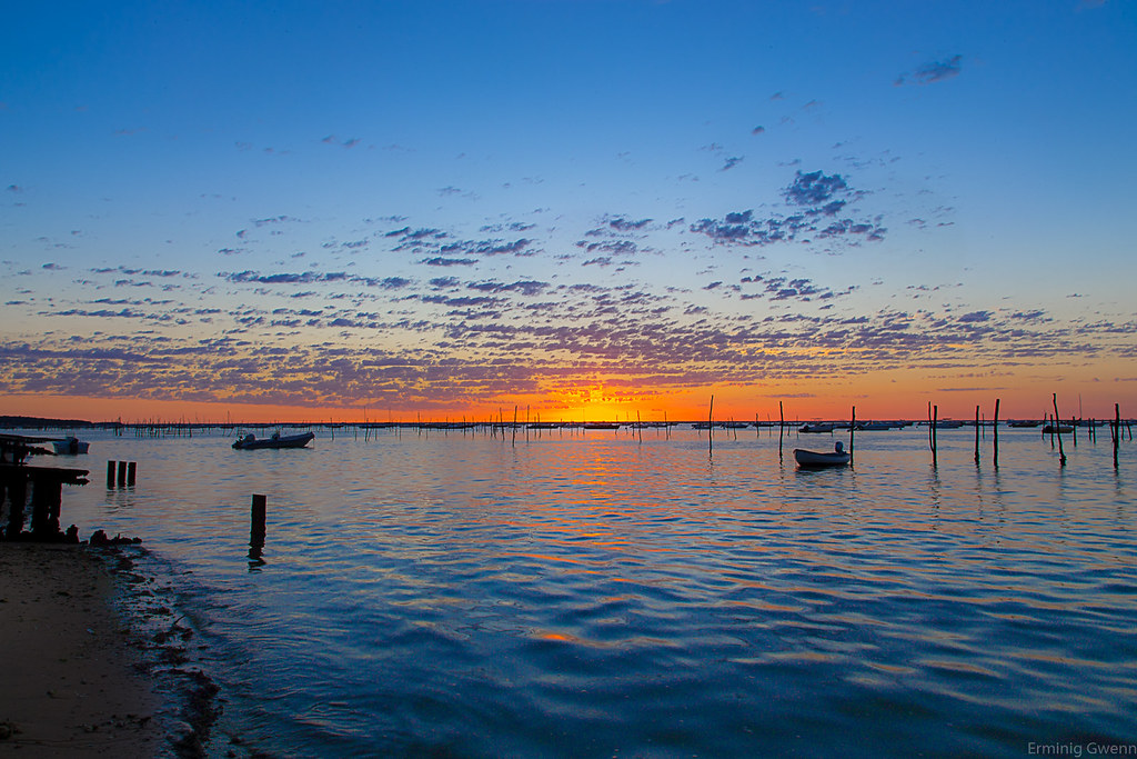 Le Porge Ocean - Spiritbird